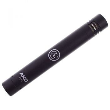 AKG P170 PERCEPTION Micrófono Cardioide Instrumentos