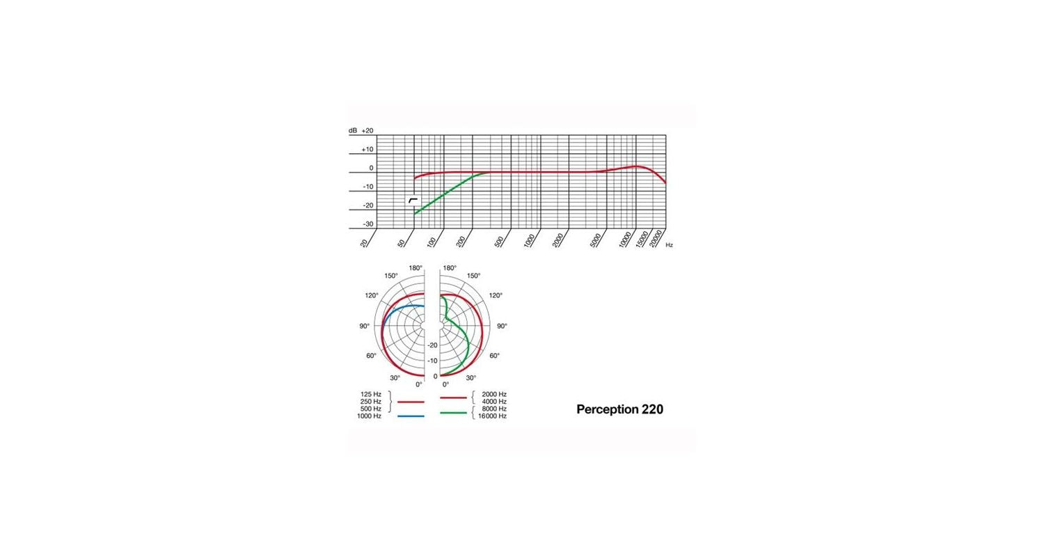 AKG P220 PERCEPTION Micrófono Cardioide