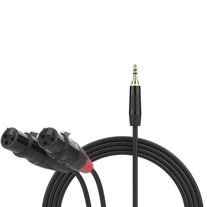 FactorFLEX Cable señal 3 m 2 XLR hembra 3 PIN a 1 minijack estereo conectores REAN