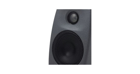 GENELEC 8010A PM Monitor Estudio